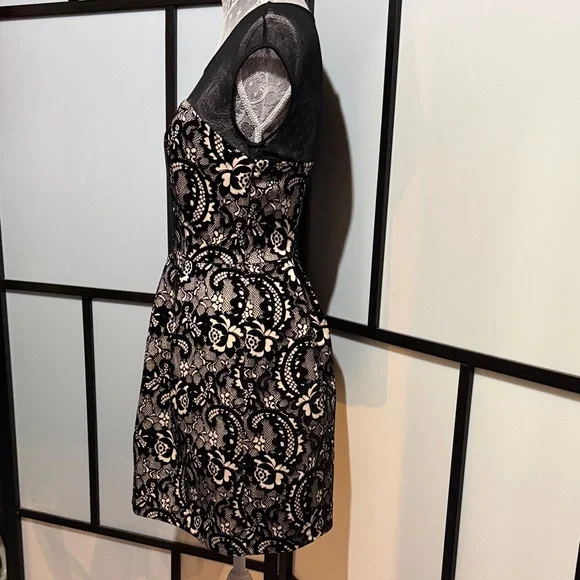 Sweet Storm Black Lace Midi Dress with Cream Underlay - Picture 2 of 5